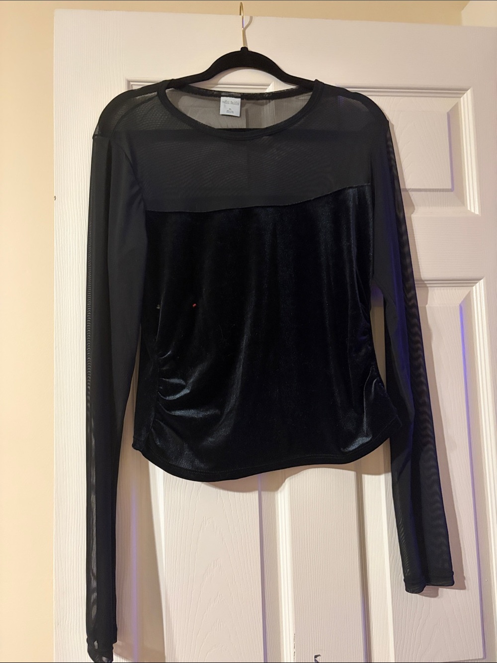 wild fable Black Velvet and Mesh Long-Sleeve Top